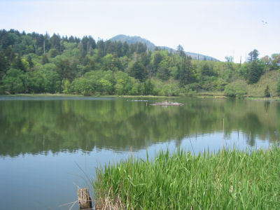 2005年事務所旅行（北海道）にて